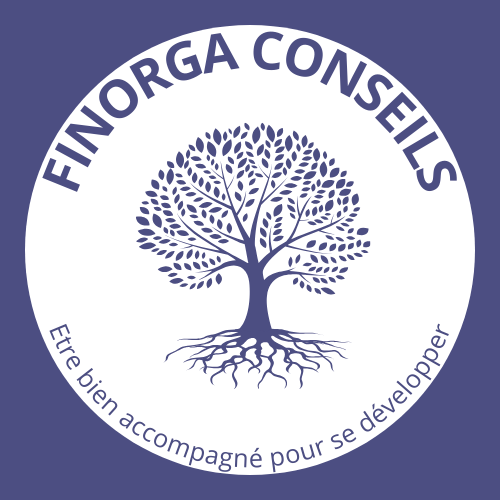 LOGO FINORGA CONSEILS